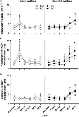 Delayed Impairment of Postural, Physical, and Muscular Functions Following Downhill Compared to Level Walking in Older People